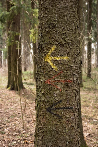 Ένα βέλος στ 'αριστερά ζωγραφισμένο σ' ένα δέντρο. Προσανατολισμός. — Φωτογραφία Αρχείου