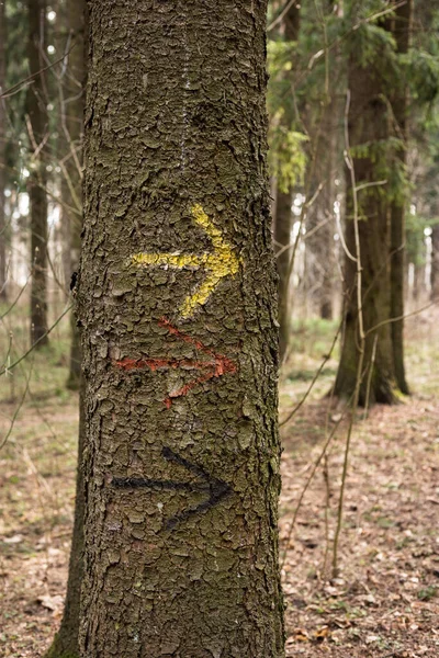 Ένα βέλος ζωγραφισμένο με μπογιά σε ένα δέντρο δείχνει προς τα δεξιά. — Φωτογραφία Αρχείου