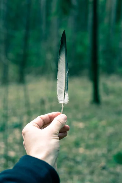 Pluma de pájaro en la mano de un hombre sobre un fondo forestal — Foto de Stock