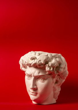 David 'in kafasının alçıtaşı heykeli. Michelangelos David heykel kopyası.