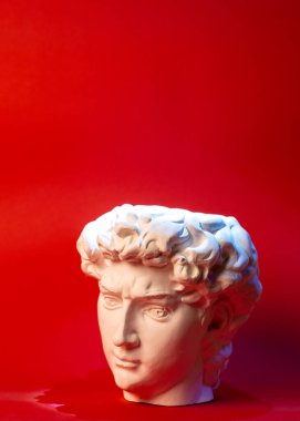 David 'in kafasının alçıtaşı heykeli. Michelangelos David heykel kopyası.