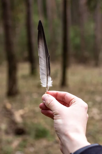 Plume d'oiseau dans une main d'homme sur un fond de forêt — Photo