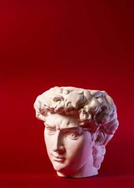 David 'in kafasının alçıtaşı heykeli. Michelangelos David heykel kopyası.