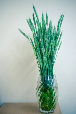 Beyaz arka planda cam vazoda buğday sapları