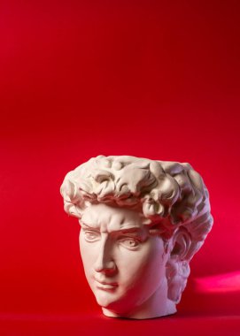 David 'in kafasının alçıtaşı heykeli. Michelangelos David heykel kopyası.