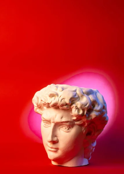 Statue en gypse de la tête de Davids. Michelangelos David statue plâtre copie. — Photo