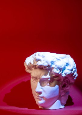 David 'in kafasının alçıtaşı heykeli. Michelangelos David heykel kopyası.