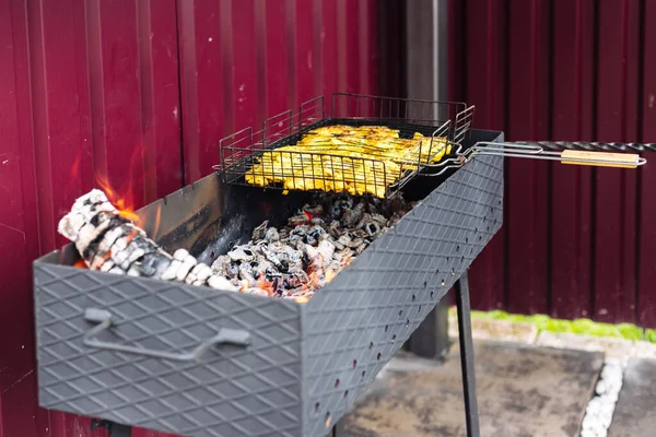 Brazier on which barbecue is prepared. Charcoal meat — 图库照片