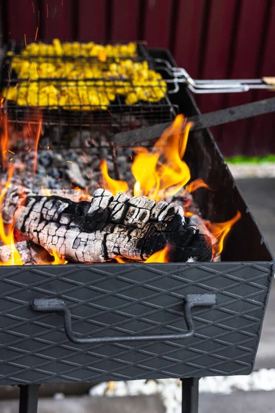 Braseiro em que churrasco é preparado. Carne de carvão — Fotografia de Stock