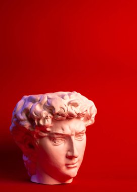 David 'in kafasının alçıtaşı heykeli. Michelangelos David heykel kopyası.