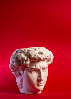 David 'in kafasının alçıtaşı heykeli. Michelangelos David heykel kopyası.