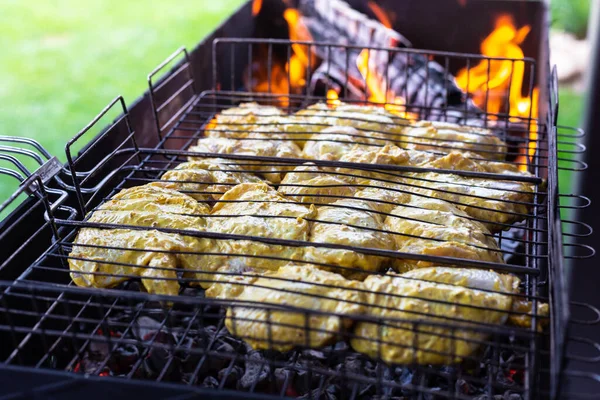 Chicken kebab is cooked on the grill — 图库照片