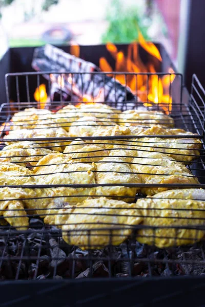Chicken kebab is cooked on the grill — 스톡 사진