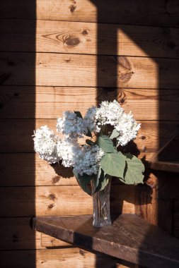 Kristal vazodaki beyaz çiçekler ışık huzmelerinde