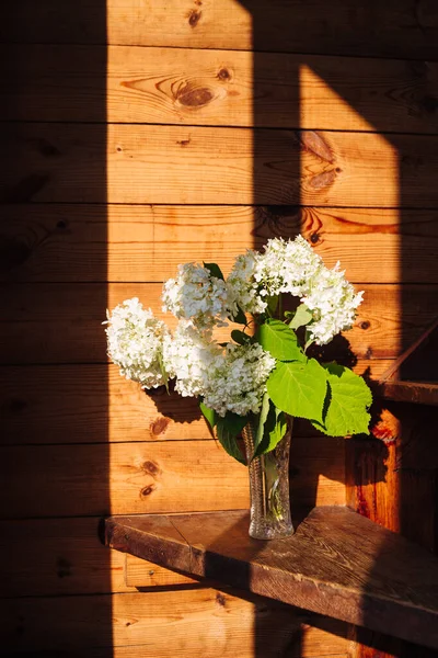 Bílé květy v křišťálové váze ve světle — Stock fotografie