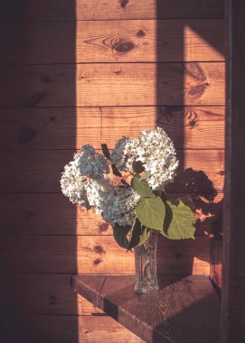 Kristal vazodaki beyaz çiçekler ışık huzmelerinde