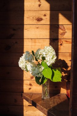 Kristal vazodaki beyaz çiçekler ışık huzmelerinde