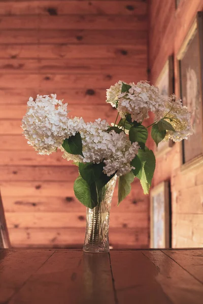 Kristal vazodaki beyaz çiçekler ışık huzmelerinde