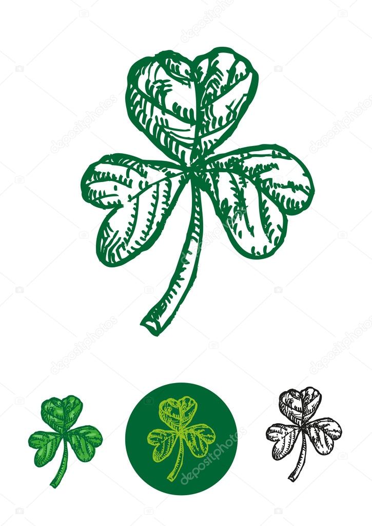 A young clover leaf called a Shamrock which is a symbol for Christian Trinity in St. Patrick's Day holiday celebration and parade. Isolated Vector Eps10.