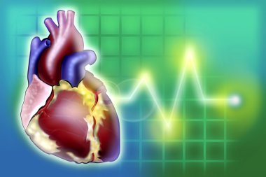 Nabız hızı etkisi jpg görüntü ile Heartbeat