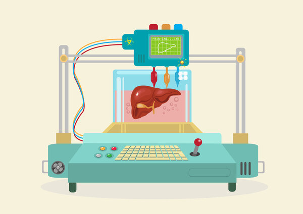3D Bioprinter. Human Organs replicated. EPS10 flat vector. 