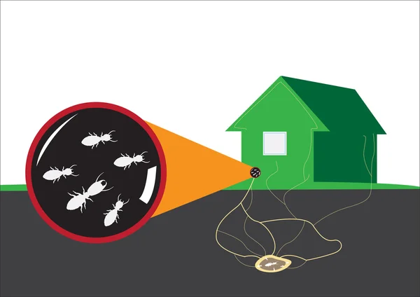 Termite attacks home from underground. Editable Clip Art. — Stock Vector