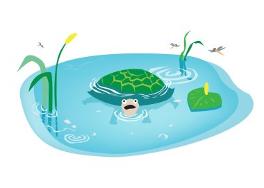 Cartoon art of Turtle swimming in Swamp. Editable Clip Art. clipart
