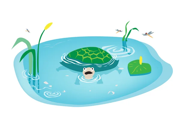 Cartoon art of Turtle swimming in Swamp. Editable Clip Art. — Stock Vector