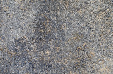 Çimentolu duvar veya asfalt duvar kağıdı