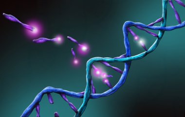 DNA sarmalının strand 