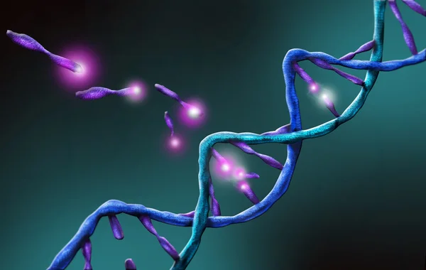 Onderdeel van de DNA-Helix — Stockfoto