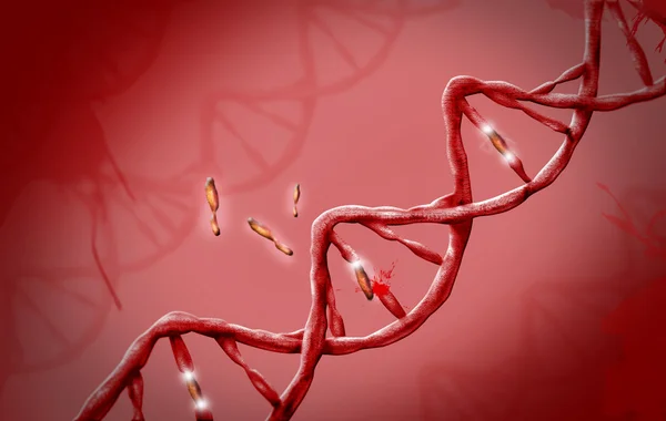 Fili di DNA su sfondo rosso . — Foto Stock