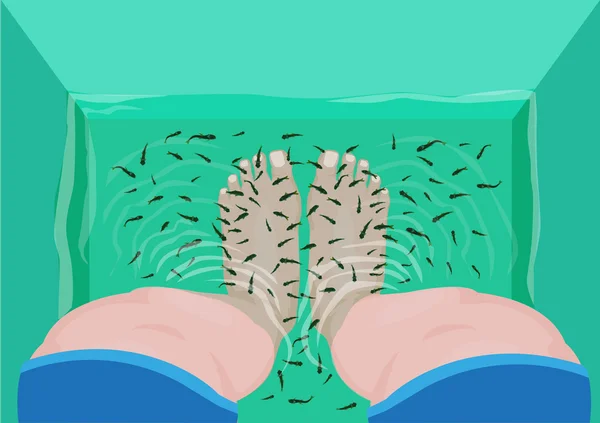 Pedicura de pescado o concepto de masaje. Vista superior de los pies en una bañera de hidromasaje llena de Doctor Fish o Garra rufa. Clip de arte editable . — Vector de stock