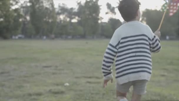 Vista trasera del niño corriendo por el césped con ventilador de papel — Vídeos de Stock