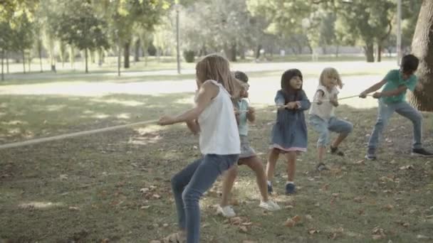 Очаровательные дети играют в перетягивание каната и испытывают свои силы — стоковое видео
