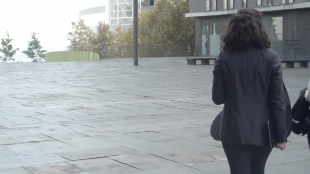 Achteraanzicht van brunette zakenvrouwen lopen buiten en praten — Stockvideo