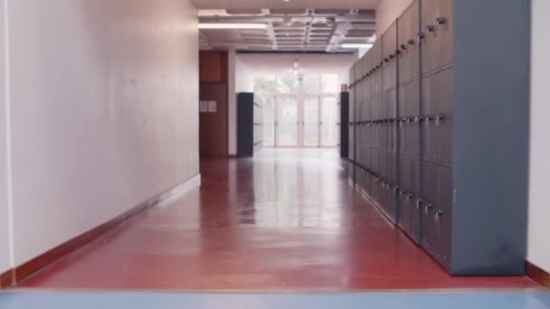 Empty school corridor with no people — Stock Video