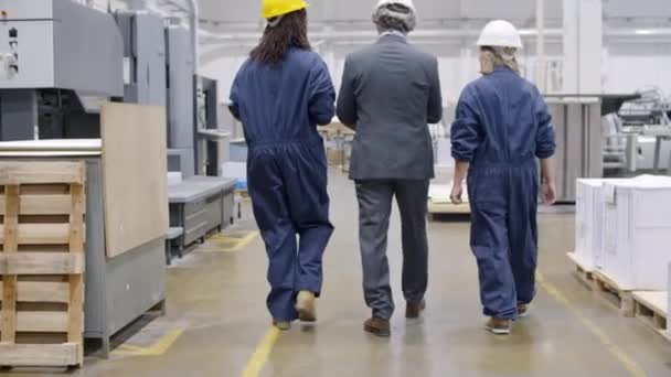 Team av senior ingenjör och två olika kvinnliga arbetstagare — Stockvideo