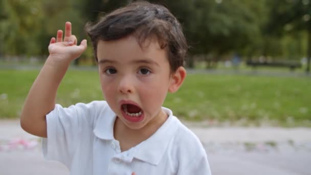 Lief grappig jongetje staand en poserend in zomerpark — Stockvideo