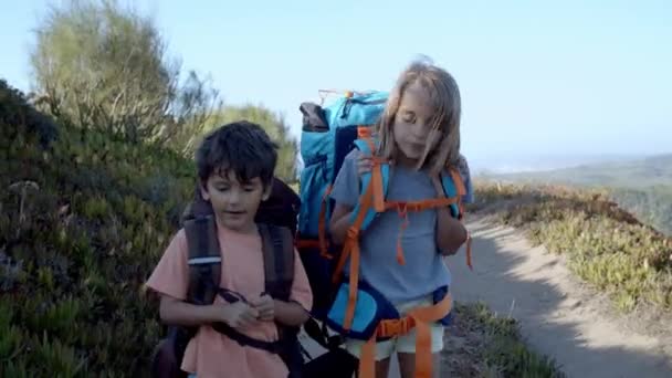 Активные дети ходят по горной тропинке с тяжелыми рюкзаками — стоковое видео
