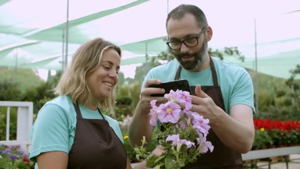Jardiniers parlant au travail, prenant des photos de fleurs en pot — Video