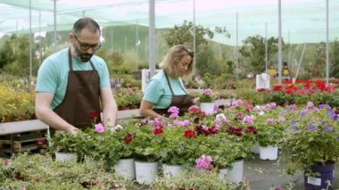 Deneyimli bahçıvanlar çiçek ekme yöntemlerini tartışıyorlar