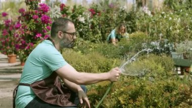 Serada çalışan erkek işçi hortumla bitkileri suluyor.