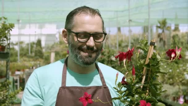 Heureux fleuriste hispanique mâle tenant plante à fleurs en pot — Video