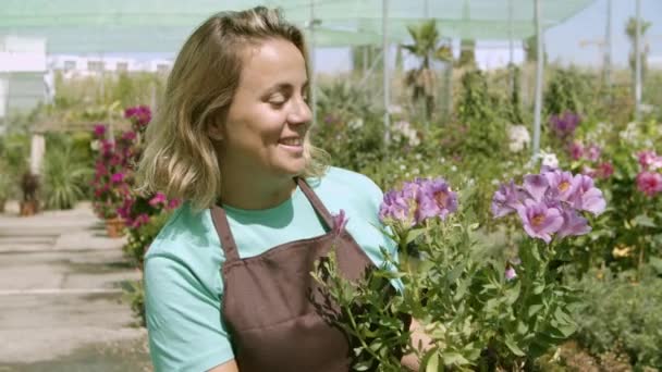 Heureux fleuriste femelle d'âge moyen tenant plante à fleurs en pot — Video