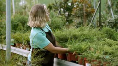 Saksıda kalan çiçekleri inceleyen odaklanmış kadın çiçekçi.