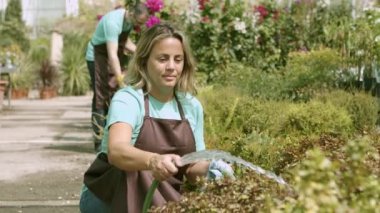 Sera kadın profesyonel sulama bitkileri hortumdan