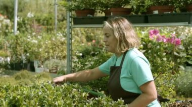 Serada kadın bahçıvan bitkileri suluyor.