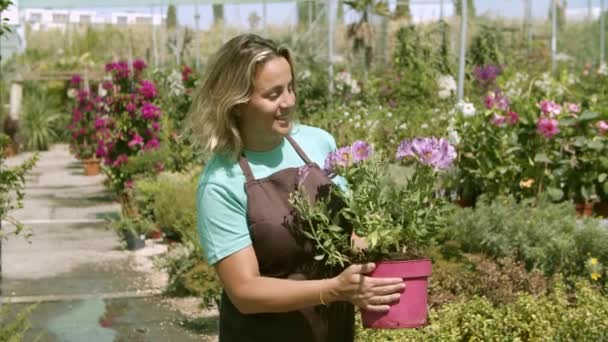 Happy middle aged female gardener holding potted flowering plant — Stock Video