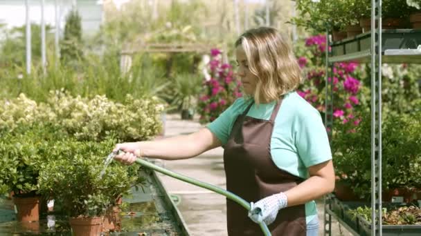 Plantas de riego para propietarios de invernaderos, manguera — Vídeos de Stock